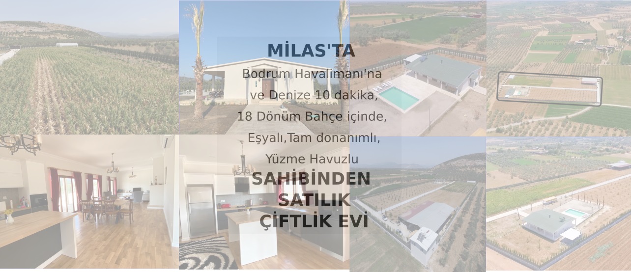 Goztepe Yuksel Apartmani